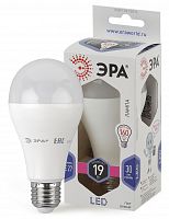 Лампа ЭРА STD LED A65-19W-860-E27 ECO. 1 год гарантии - Интернет-магазин Intermedia.kg