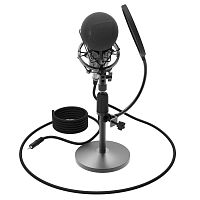 Студийный микрофон Ritmix RDM-175 черный - Интернет-магазин Intermedia.kg