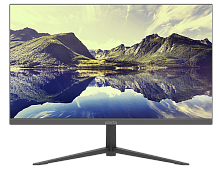 Монитор 24" Elista ELS-I24VFHD VA 4000:1 250kd/m2 1920x1080 165Hrz HDMI,DP